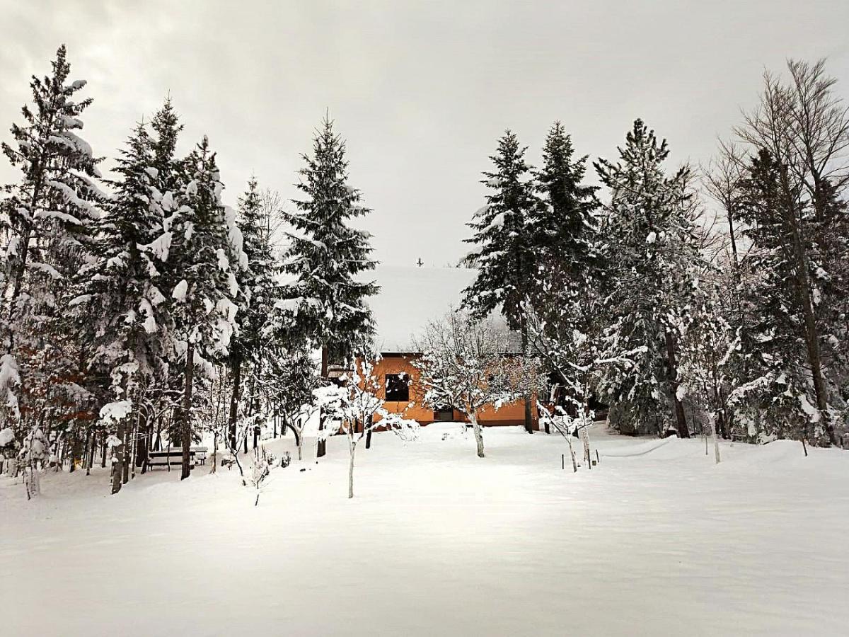 Apartment Dren - Banjska Stena Mitrovac